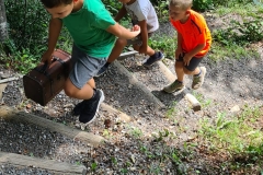 IMG-20210724-WA0013