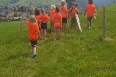 IMG-20210727-WA0017